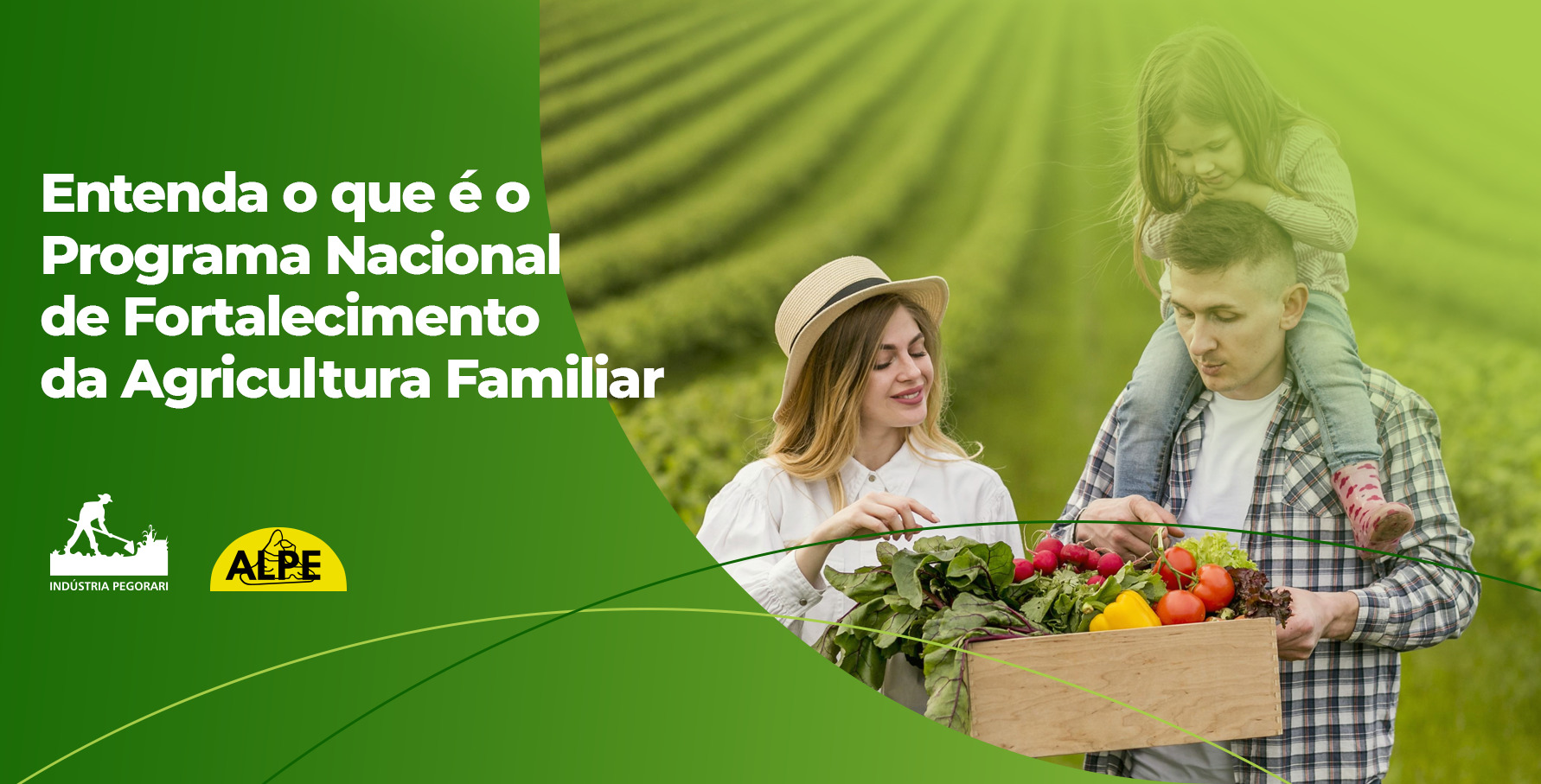 Programa Nacional De Fortalecimento Da Agricultura Familiar O Que é Pegorari Agrícola 5893